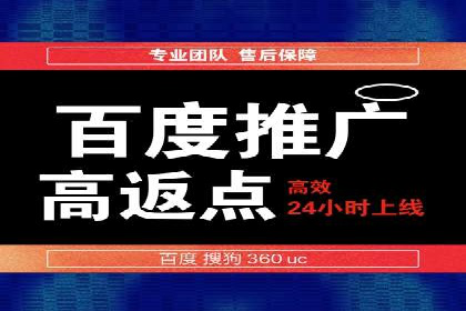 百度竞价广告案例分析：成功之道揭秘